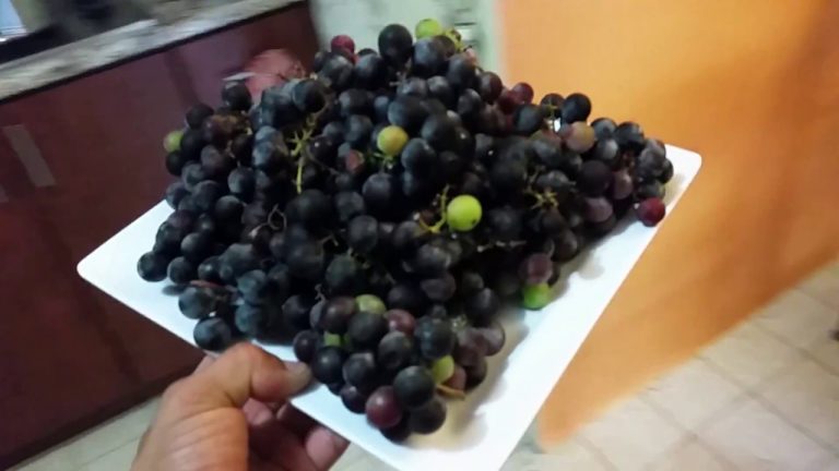 Sabor Refrescante da Uva Madura para Vapor